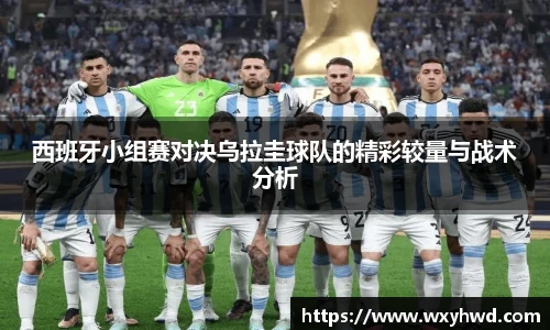 B体育bsports