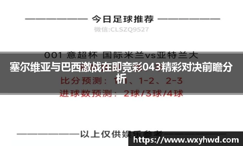 bsports官网入口