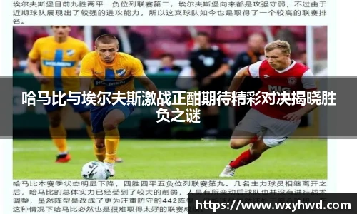 哈马比与埃尔夫斯激战正酣期待精彩对决揭晓胜负之谜